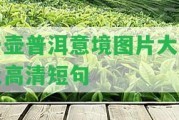 一壺普洱意境圖片大全及高清短句