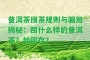 普洱茶囤茶規則與騙局揭秘：囤什么樣的普洱茶？怎樣存？