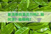 普洱茶放菊花行嗎？怎樣泡？能喝嗎？