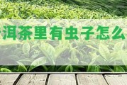 普洱茶里有蟲子怎么辦？