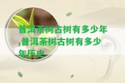 普洱茶樹(shù)古樹(shù)有多少年,普洱茶樹(shù)古樹(shù)有多少年歷史