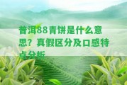 普洱88青餅是什么意思？真假區(qū)分及口感特點分析