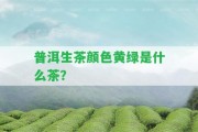 普洱生茶顏色黃綠是什么茶？