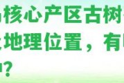 冰島核心產(chǎn)區(qū)古樹茶產(chǎn)地及地理位置，有哪些品種？