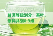 普洱等級劃分：茶葉、原料共劃0-9級