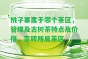 桃子寨屬于哪個(gè)茶區(qū)，管理及古樹(shù)茶特點(diǎn)及價(jià)格，蠻磚所屬茶區(qū)