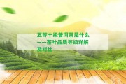 五等十級(jí)普洱茶是什么——茶葉品質(zhì)等級(jí)詳解及對(duì)比