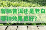 感冒喝普洱還是老白茶，哪種效果更好？