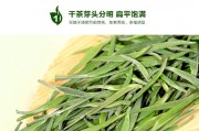 茶療中必不可少的大棗食療處方