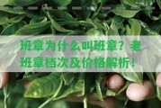 班章為什么叫班章？老班章檔次及價格解析！