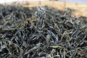 普洱茶的心得體會(huì)200個(gè)字：品味普洱茶的感悟