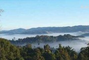 丙島古茶坊品牌冰島