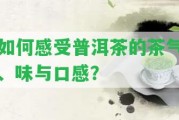 怎樣感受普洱茶的茶氣、味與口感？