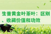 生普黃金葉茶葉：區(qū)別、收藏價值和功效