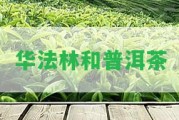 華法林和普洱茶