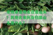 老班章是地名還是山頭？其地名來歷及歸屬山頭是什么？