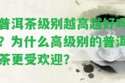 普洱茶級別越高越好嗎？為什么高級別的普洱茶更受歡迎？