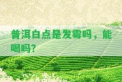 普洱白點是發(fā)霉嗎，能喝嗎？