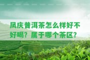 鳳慶普洱茶怎么樣好不好喝？屬于哪個(gè)茶區(qū)？