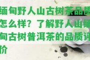 緬甸野人山古樹茶品質怎么樣？熟悉野人山緬甸古樹普洱茶的品質評價