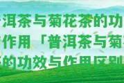 普洱茶與菊花茶的功效與作用「普洱茶與菊花茶的功效與作用區(qū)別」