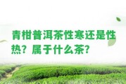 青柑普洱茶性寒還是性熱？屬于什么茶？