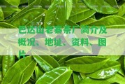 巴達(dá)山老寨茶廠簡(jiǎn)介及概況、地址、資料、圖片