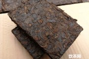 黑茶博會(huì)小學(xué)生觀后感，黑茶博覽會(huì)