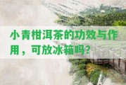 小青柑洱茶的功效與作用，可放冰箱嗎？