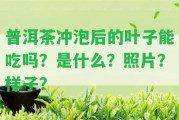 普洱茶沖泡后的葉子能吃嗎？是什么？照片？樣子？