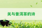 關(guān)與普洱茶的詩