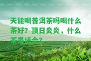 天能喝普洱茶嗎喝什么茶好？頂日炎炎，什么茶最適合？