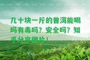 幾十塊一斤的普洱能喝嗎有毒嗎？安全嗎？知乎分享圖片！