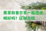 黑茶和普爾茶一起泡水喝好嗎？區(qū)別介紹