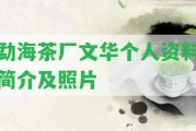 勐海茶廠文華個(gè)人資料簡(jiǎn)介及照片