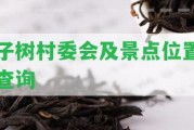 子樹村委會及景點(diǎn)位置查詢