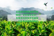 云南普洱茶降尿酸嗎能喝嗎？女性是不是適合？百度百科和知乎的解答，以及普洱茶降尿酸的效果