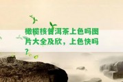 橄欖核普洱茶上色嗎圖片大全及欣，上色快嗎？