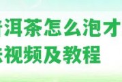 生普洱茶怎么泡才正確方法視頻及教程