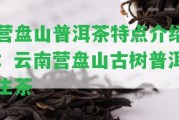 營盤山普洱茶特點(diǎn)介紹：云南營盤山古樹普洱生茶