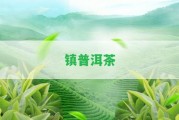 鎮(zhèn)普洱茶