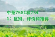 中茶7581和7541：區(qū)別、評價和推薦。