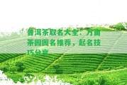 普洱茶取名大全：萬畝茶園園名推薦，起名技巧分享