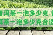 普洱茶一泡多少克 普洱茶一泡多少克合適