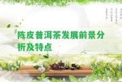 陳皮普洱茶發(fā)展前景分析及特點(diǎn)