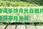 普洱茶餅月光白圖片,普洱茶月光白