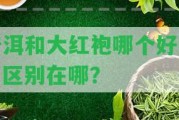 普洱和大紅袍哪個好些？區(qū)別在哪？