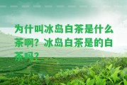 為什叫冰島白茶是什么茶啊？冰島白茶是的白茶嗎？