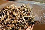 普秀牌普洱茶價(jià)格表生茶怎么樣？官方旗艦店推薦：普秀7734普洱茶和經(jīng)典1908款。