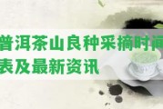 普洱茶山良種采摘時(shí)間表及最新資訊